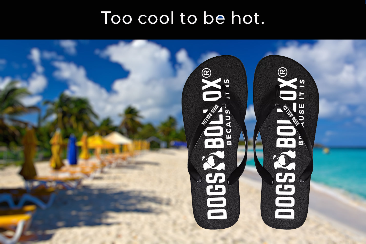 Dogs Bollox Flip-Flops